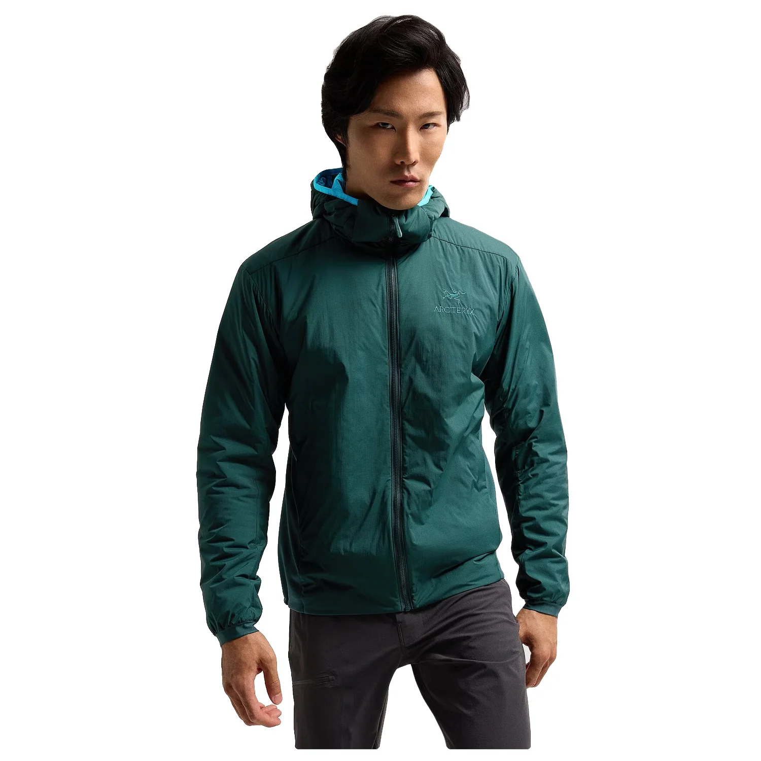 Arc'teryx Men's Atom Hoody Pytheas