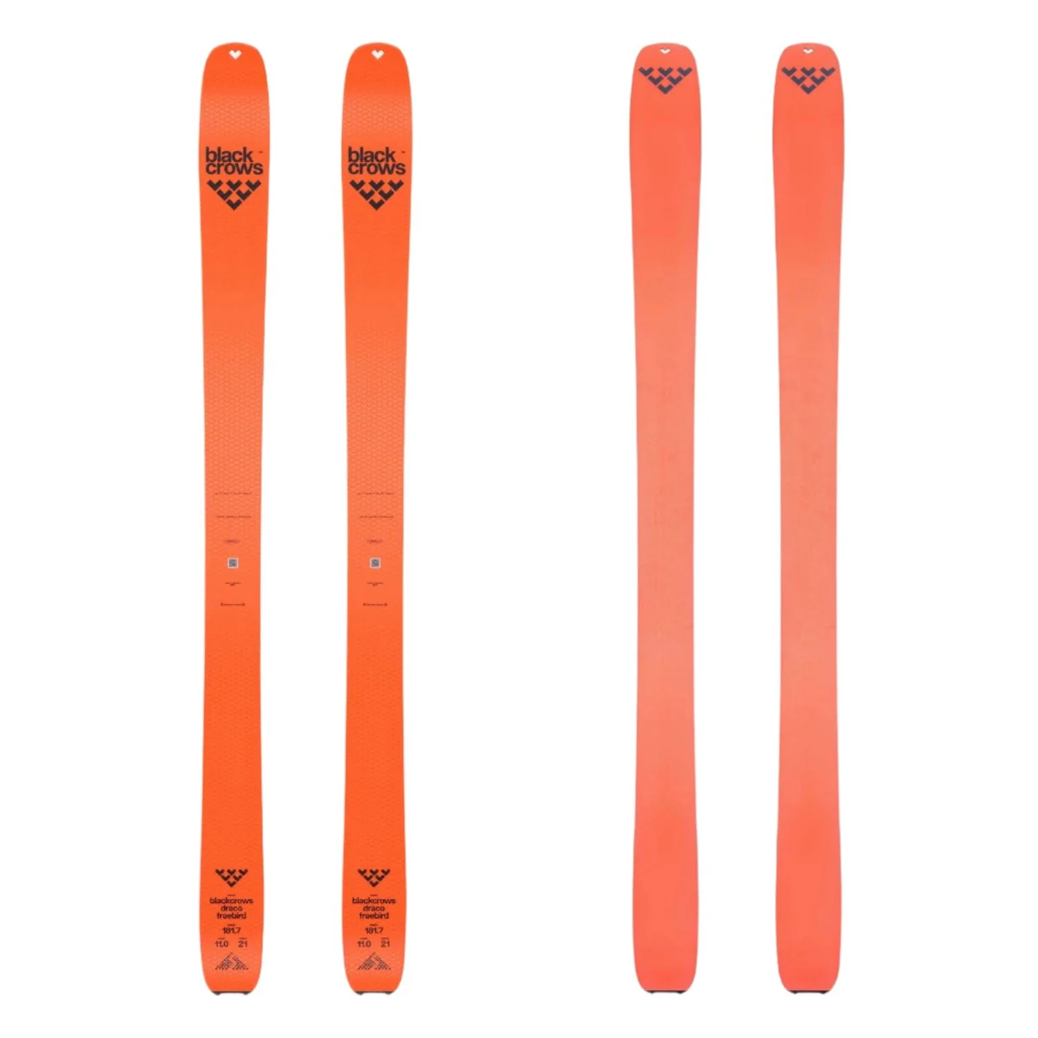 Black Crows Draco Freebird Ski + Skins 2026