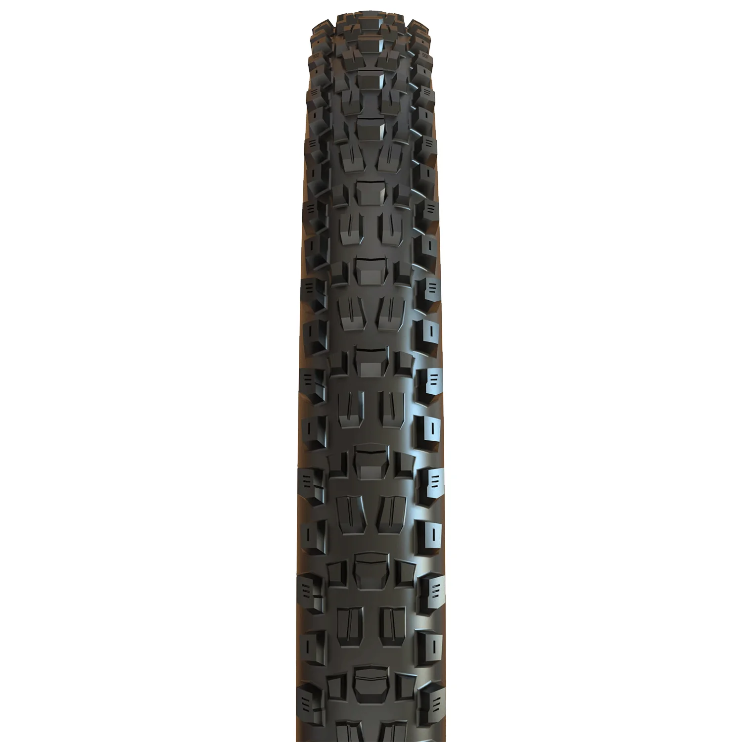 Maxxis Assegai 29x2.50WT 3C MaxxTerra EXO+ TR Tire - Image 2