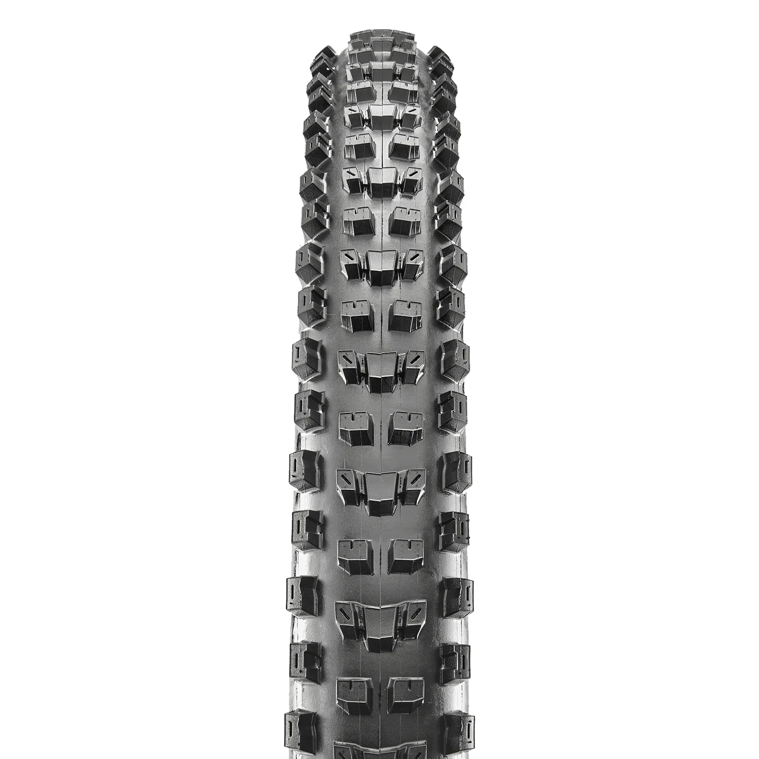 Maxxis Dissector 29x2.40WT 3C MaxxTerra EXO+ TR Tire - Image 2